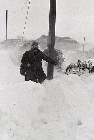 1982 snow