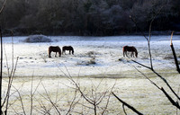 Winter in Creigiau, Cardiff by Welsh photographer Richard Williams