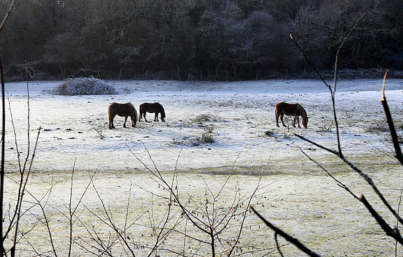 Winter in Creigiau, Cardiff by Welsh photographer Richard Williams